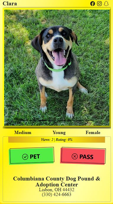 Pet Or Pass Sneak Peak